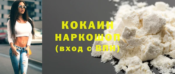 крисы Алексин