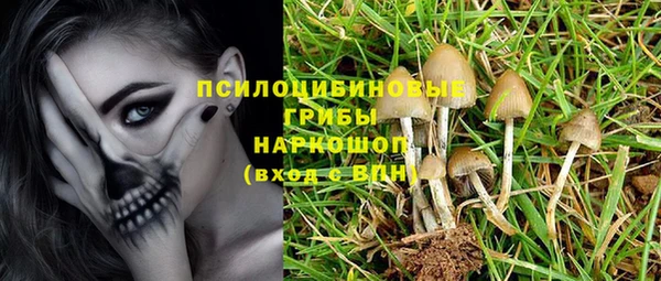 крисы Алексин