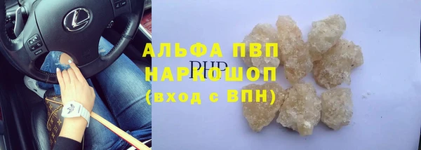крисы Алексин
